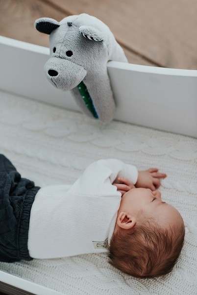 Szumiący Miś Whisbear CRYsensor Arbuzowy 0+ | Fabryka Wafelków