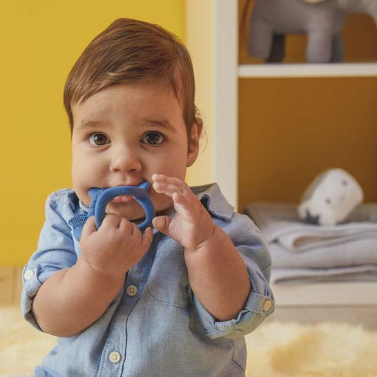 B.Box, Gryzak sensoryczny lisek, szałwia