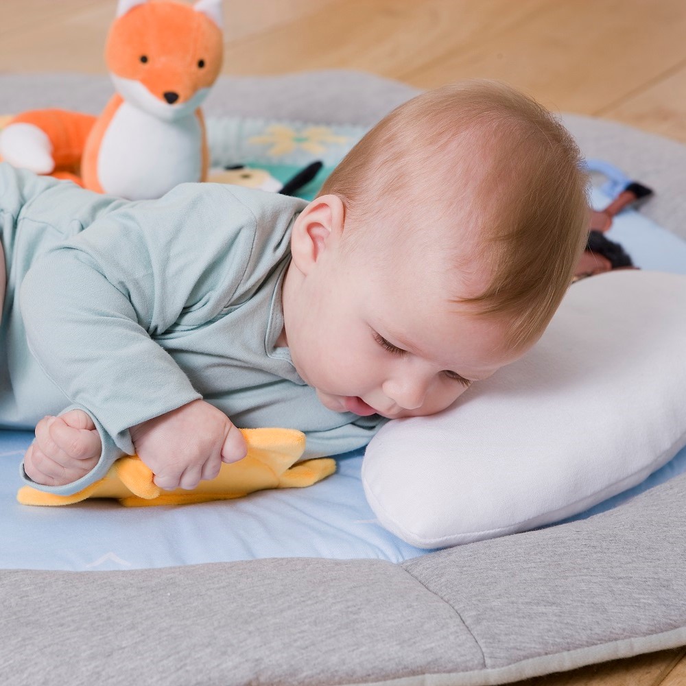 Little Big Friends Mata Edukacyjna FARMA 0+