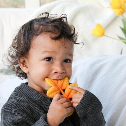 Lanco Gryzak Listek Klonu Naturalny Kauczuk 0+