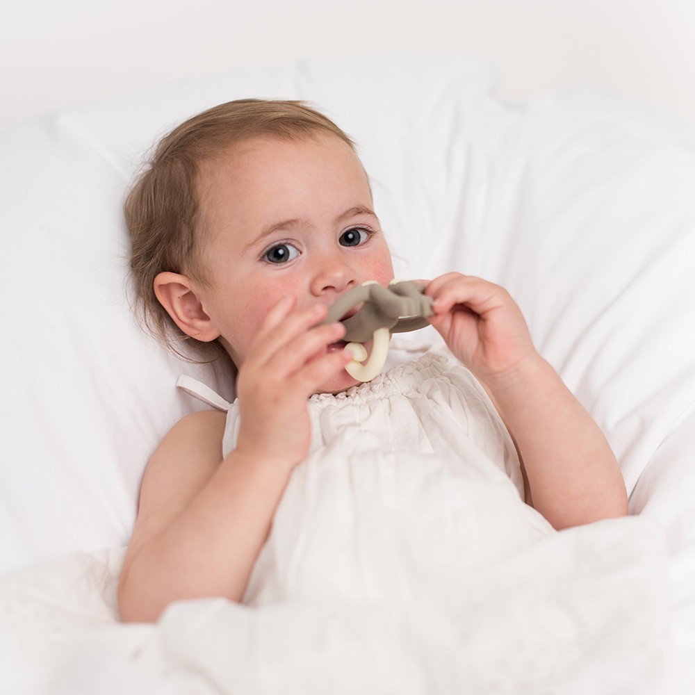 Matchstick Monkey Gryzak Szczoteczka pomarańczowy 0+