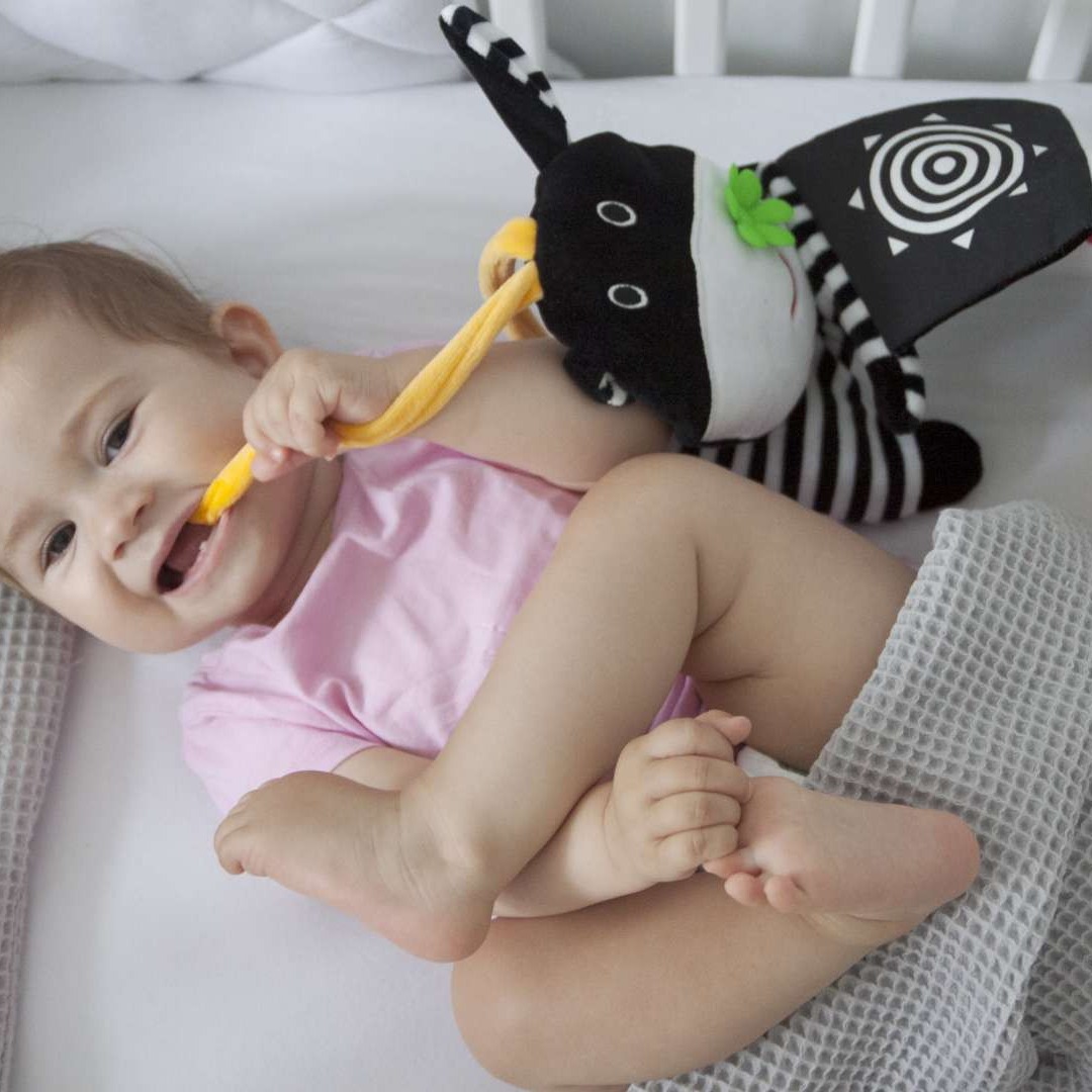 Mom's Care Książeczka do łóżeczka Króweczka 0+