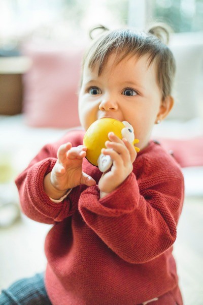 Lanco Gryzak Pszczółka - Naturalny Kauczuk 0+