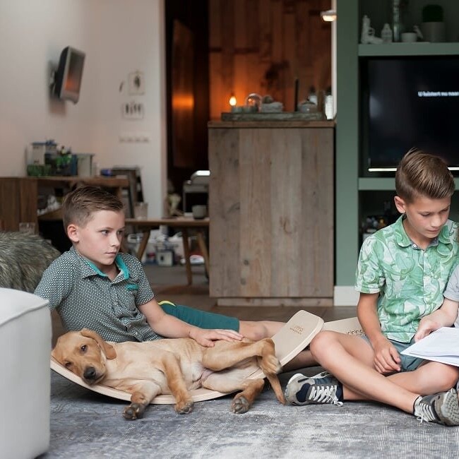 Wobbel Deska do balansowania Starter Transparent z filcem 0+ lat