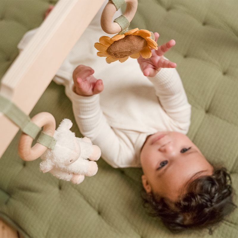 Little Dutch Pałąk Interaktywny Little Farm 0+ | Babygym