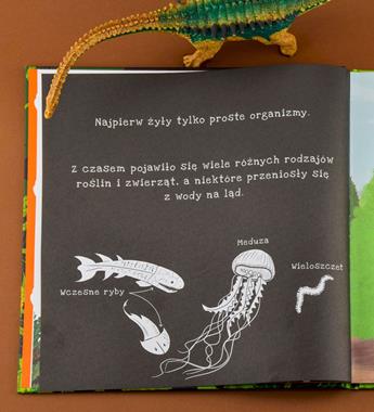 Api Papi Dinozaury Podświetl i Odkryj Książka Aktywizująca 3+