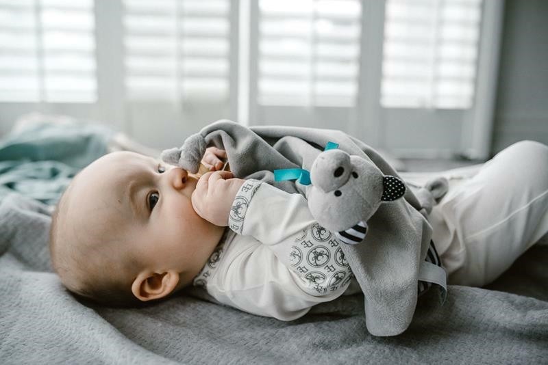 Whisbear, DouDou Kocyk Przytulanka Miś Friends of Whisbear®