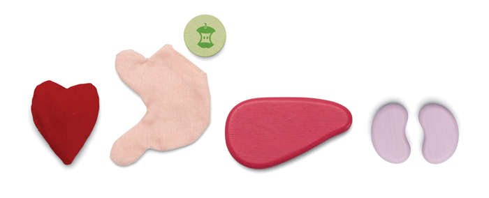 Plan Toys Zestaw Chirurgiczny Drewniany 3+