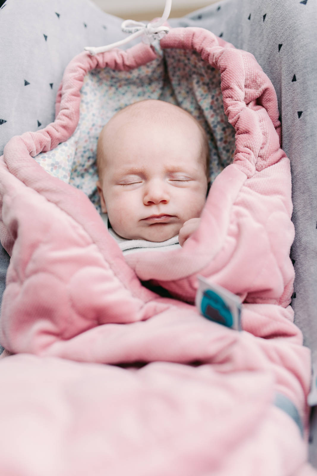 Otulacz do fotelika Pink no more Różowy 0-12 m