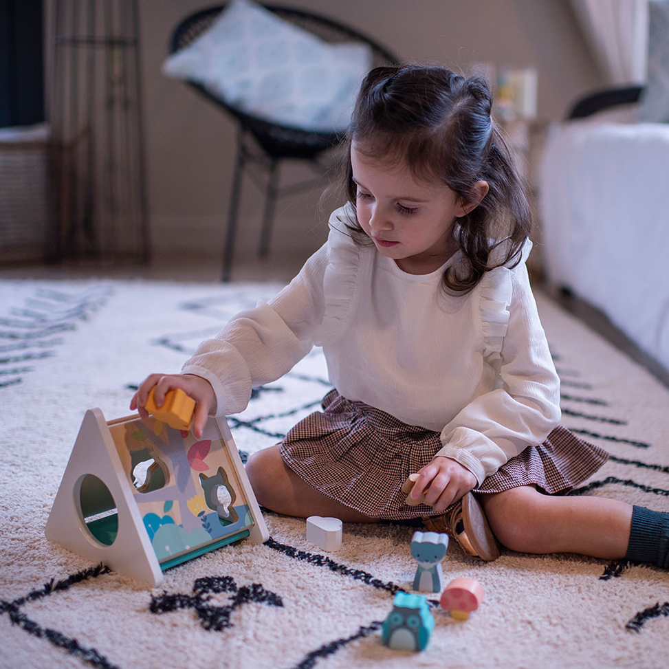 Janod, Trójkątny sorter kształtów Pure