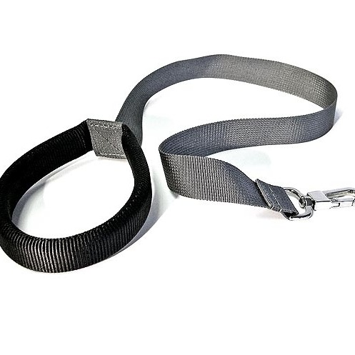 Plecaczek ze smyczą    Pszczoła