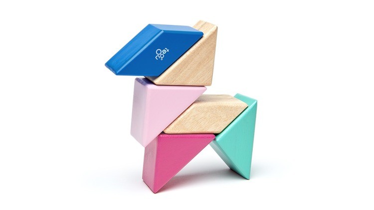 Tegu Klocki Magnetyczne POCKET POUCH PRISM 6szt Blossom 1+