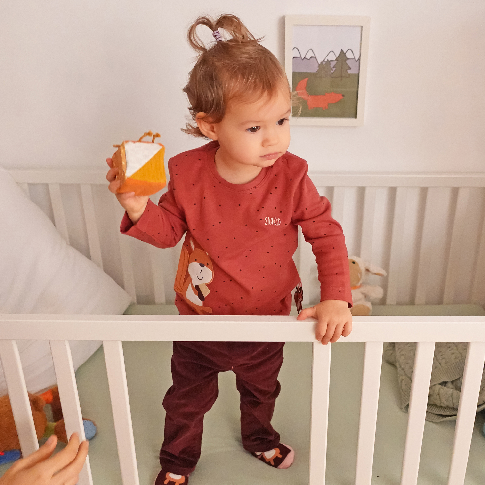 Zestaw miękkich kostek do zabawy – wielofunkcyjna zabawka rozwojowa – sigikid