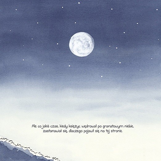 O chłopcu, który wpadł do książki - Adamada 4+