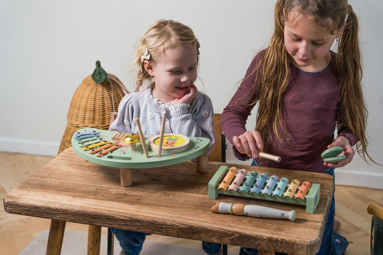 Dantoy Drewniane Instrumenty Muzyczne Zestaw FSC 3+