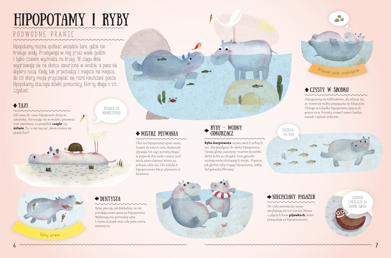 Sierra Madre Zdumiewające Przyjaźnie Książka Edukacyjna 3+