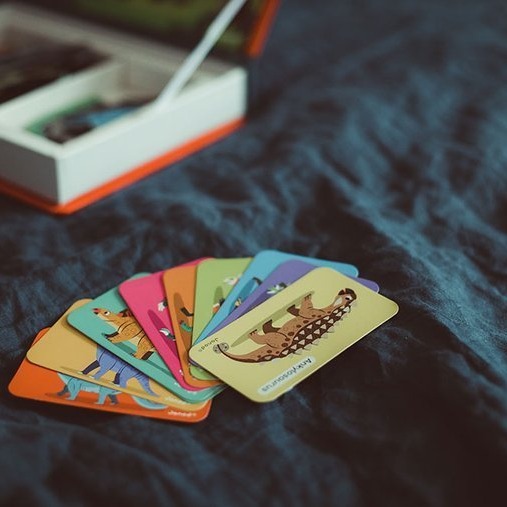 Janod Magnetibook Dinozaury Układanka Magnetyczna 3-8 lat