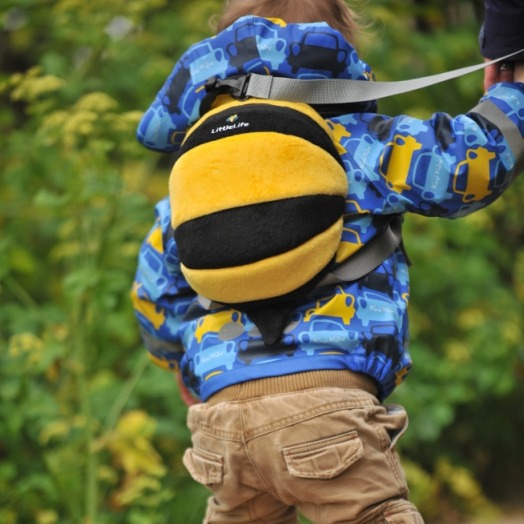 Plecaczek ze smyczą    Pszczoła