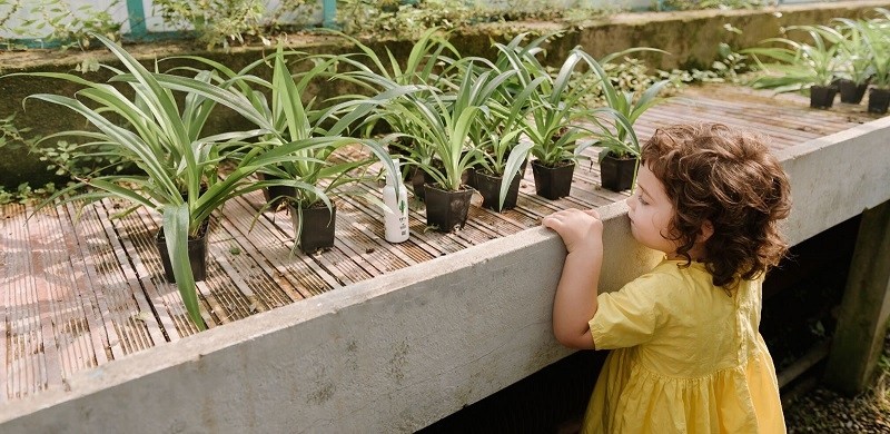 Linea MammaBaby Spray na Owady Baby Zeta 100ml 0+