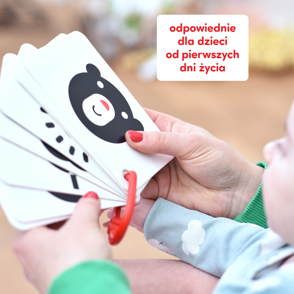 Czuczu Karty Kontrastowe na Kółeczku 0m+ dla Niemowląt