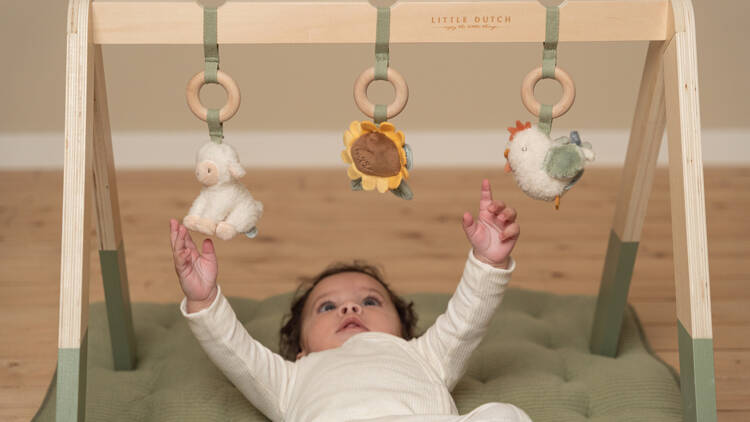Little Dutch Pałąk Interaktywny Little Farm 0+ | Babygym