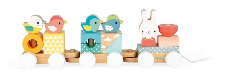 Janod Pociąg z Klockami do Ciągnięcia Pure 12m+