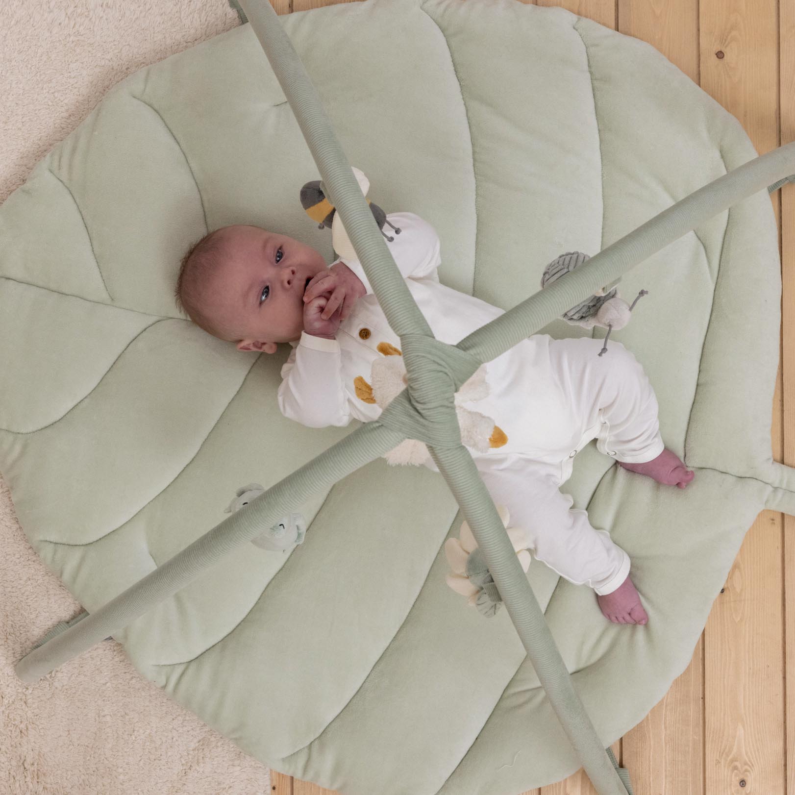 Little Dutch Mata edukacyjna z pałąkiem Little Goose 0+