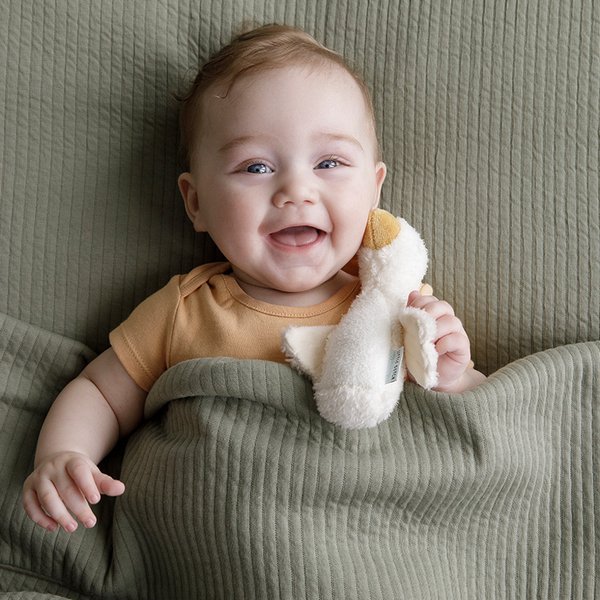 Little Dutch Piszczałka Little Goose 0+