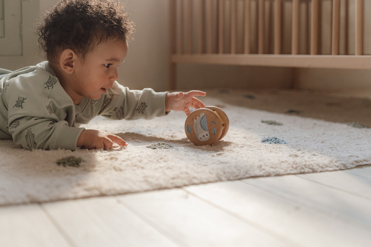 Little Dutch Drewniany Zestaw Prezentowy Forest Friends FSC 18m+