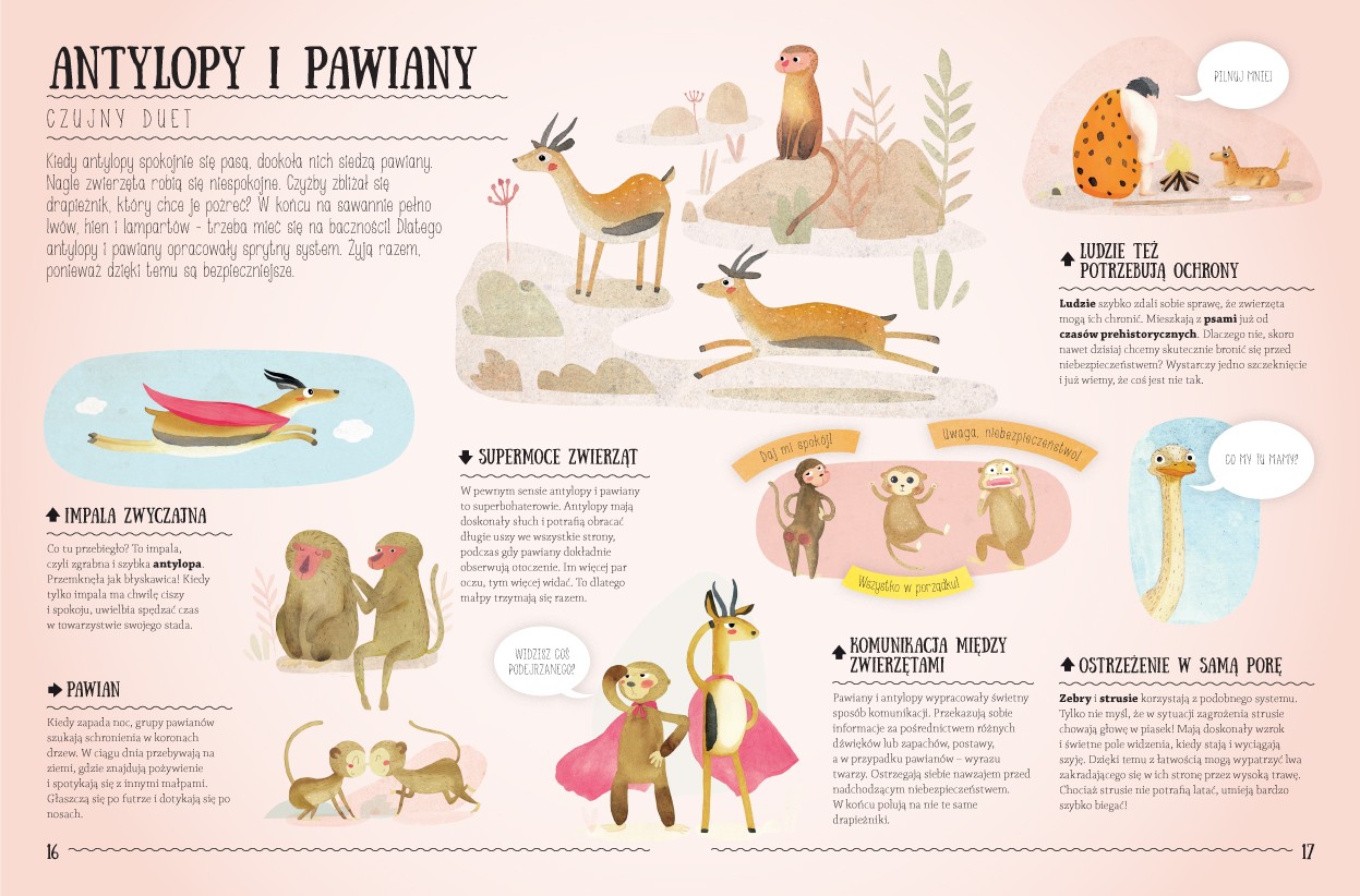 Sierra Madre Zdumiewające Przyjaźnie Książka Edukacyjna 3+