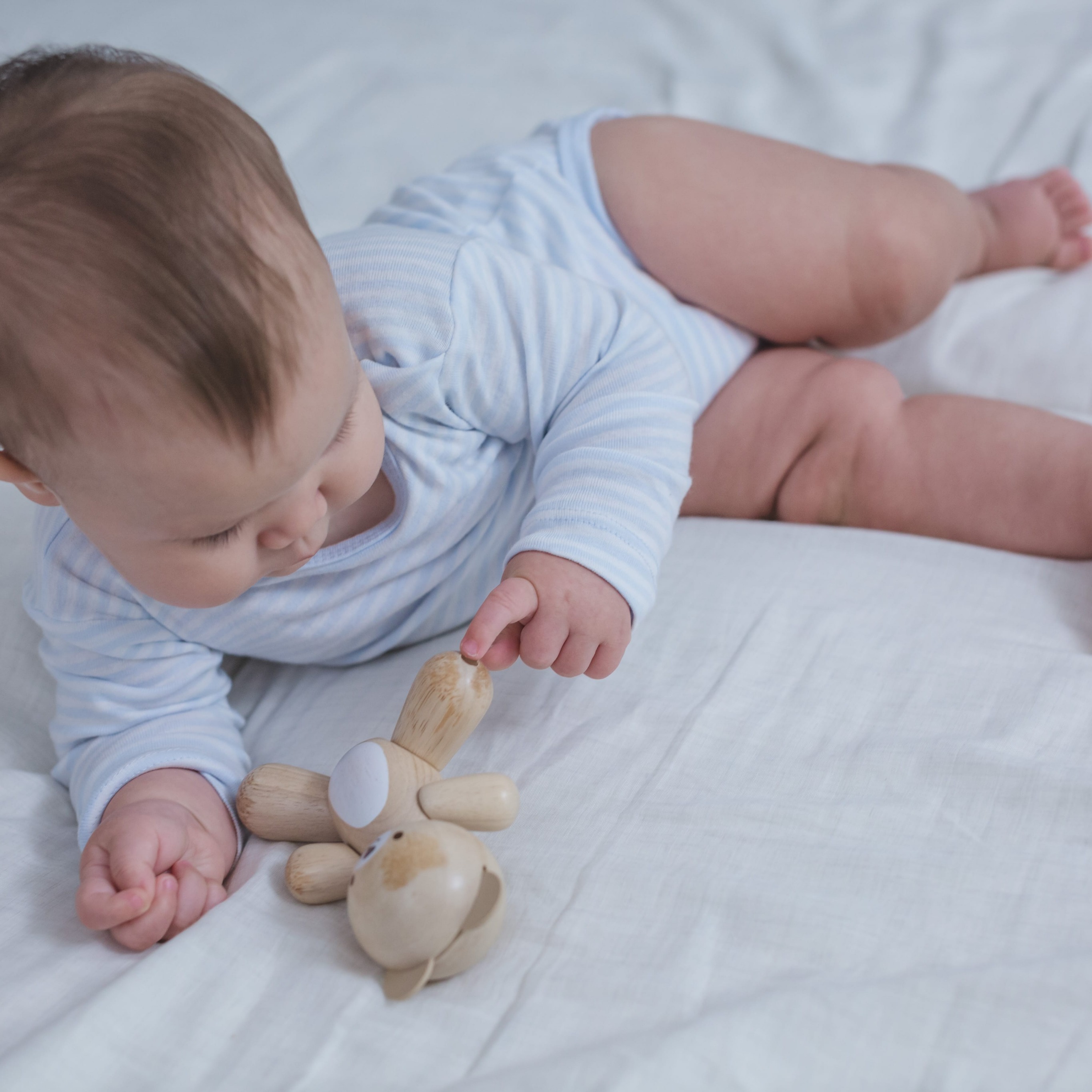 Plan Toys Drewniany Miś Edukacyjny 1+