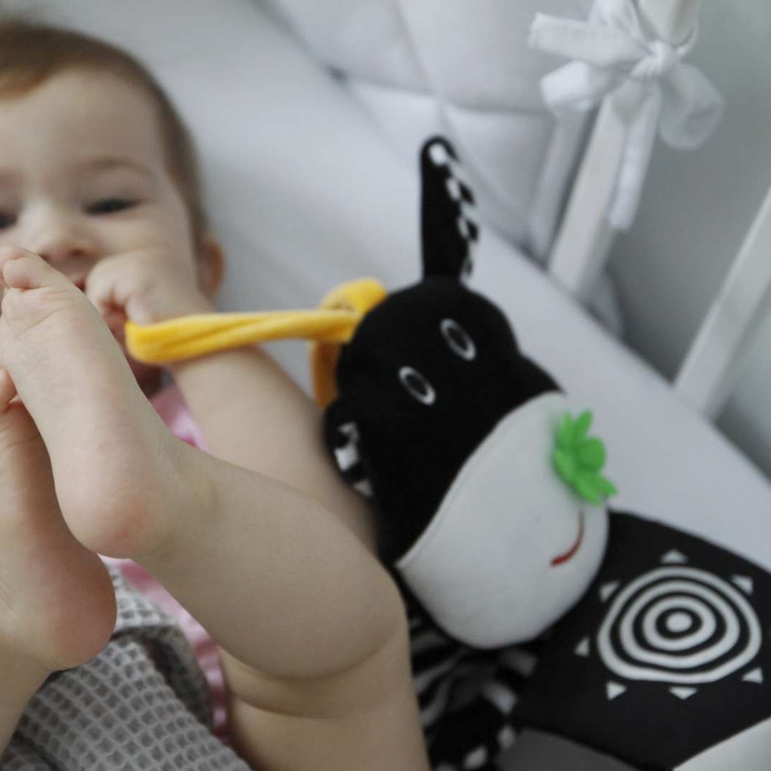 Mom's Care Książeczka do łóżeczka Króweczka 0+