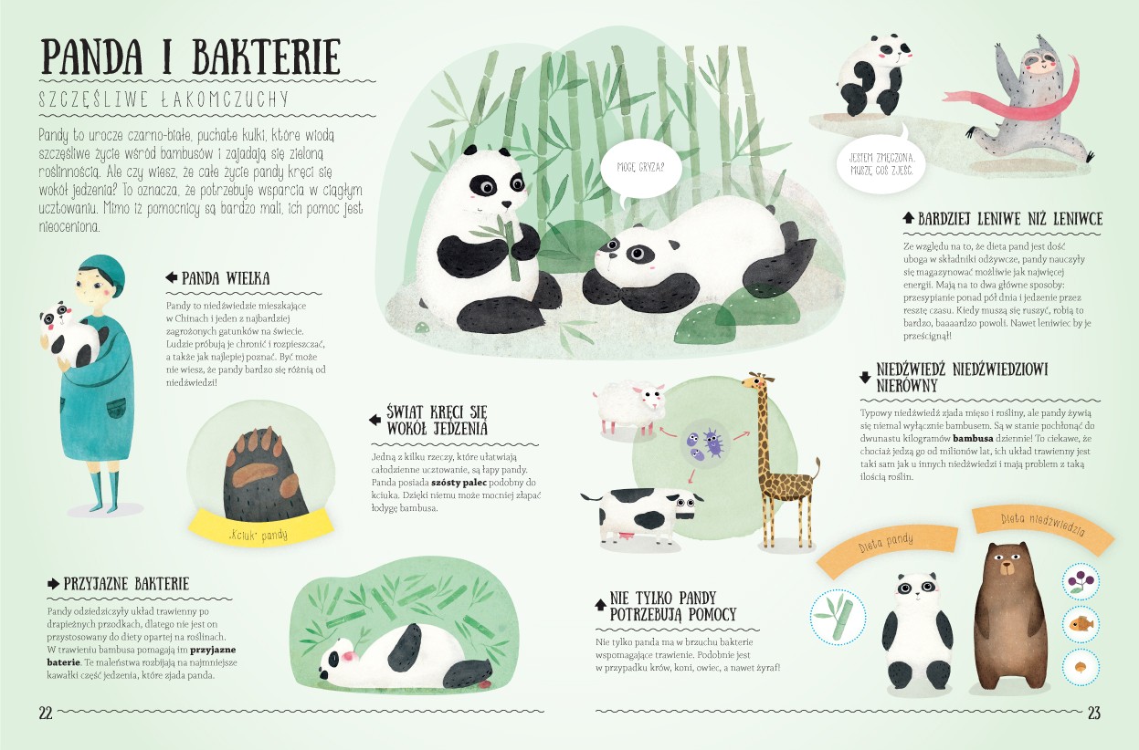 Sierra Madre Zdumiewające Przyjaźnie Książka Edukacyjna 3+