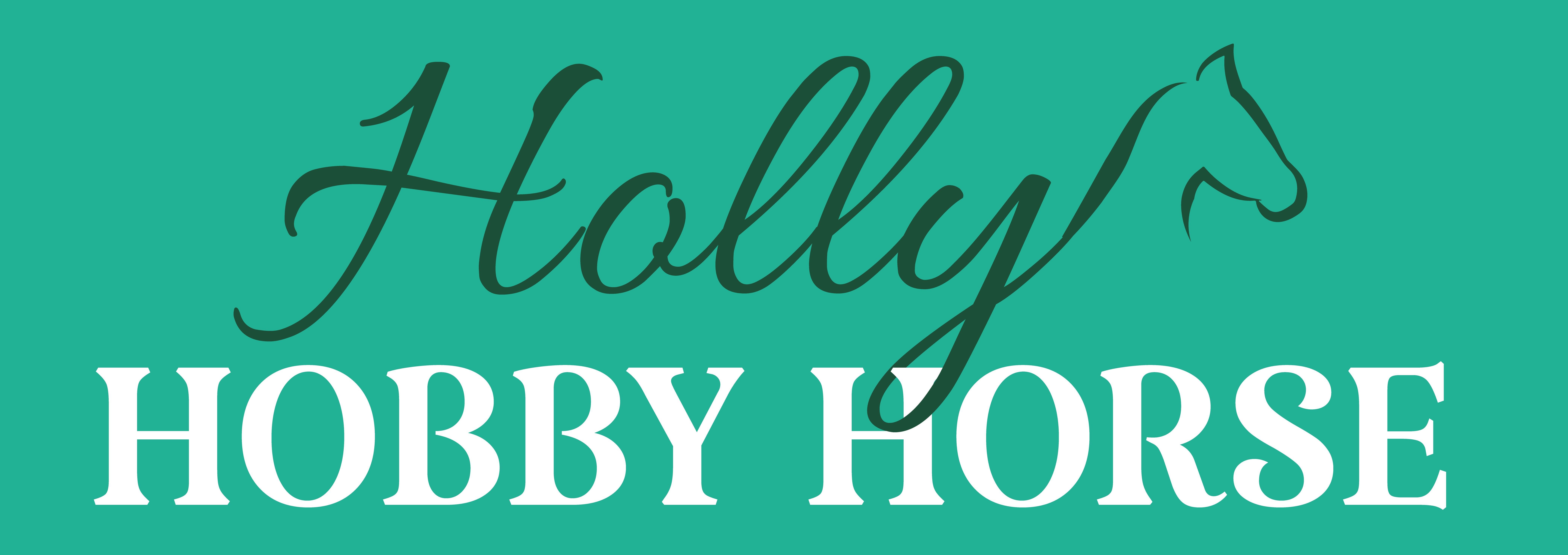 Holly Hobby Horse koń DELUXE na kiju 80cm braun