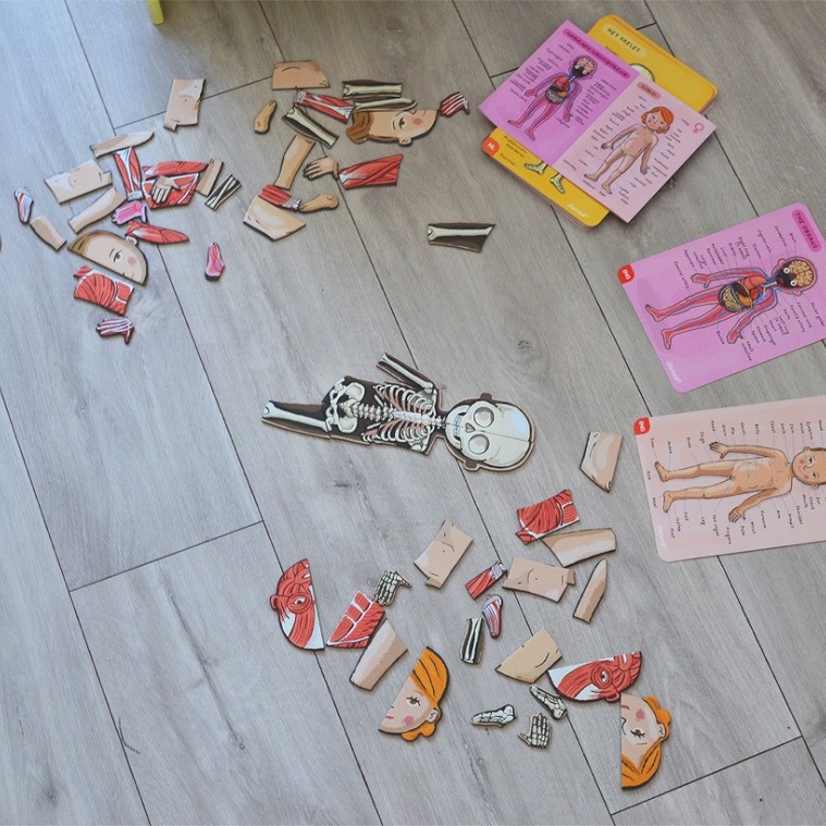 Janod Układanka Magnetyczna Ciało Człowieka 5+ | Edukacyjna