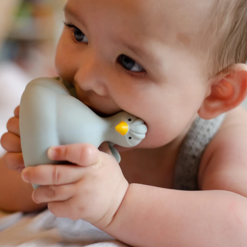 Natruba, Naturalny gryzak, zabawka do kąpieli, Paw, jasnoniebieski