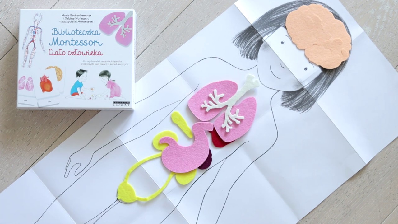 Biblioteczka Montessori Ciało Człowieka - Edukacyjna 3+