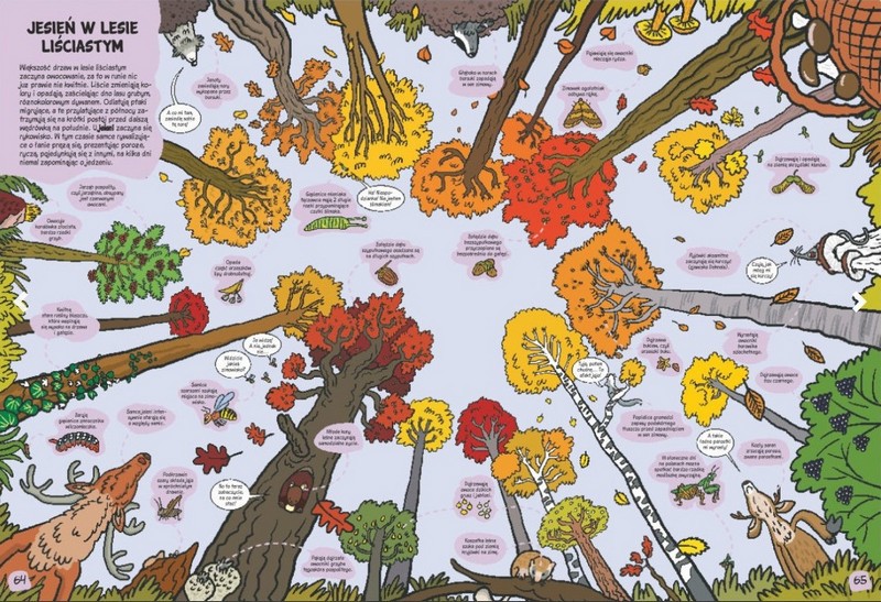 O rany, przyroda! Książka edukacyjna dla dzieci 3+ | Fabryka Wafelków