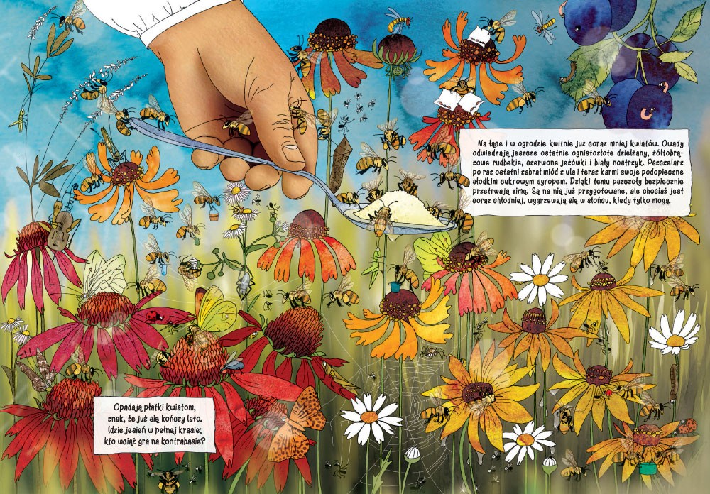 Opowiem Ci Mamo Skąd się bierze miód 2-6 lat