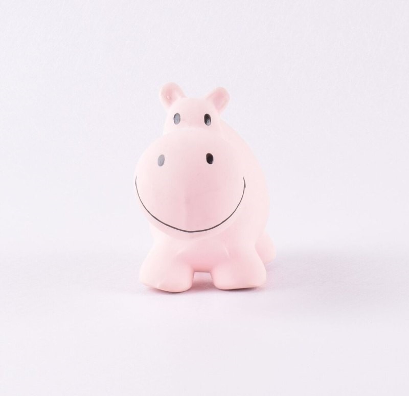 Tikiri Gryzak Hipopotam Zoo 0+ Naturalny Kauczuk