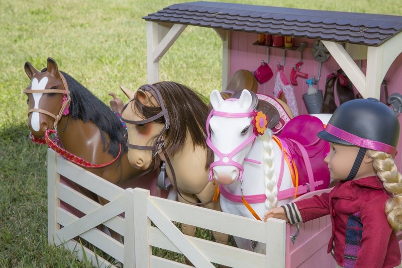 Koń Kary Pełnej Krwi Angielskiej do Czesania 3+