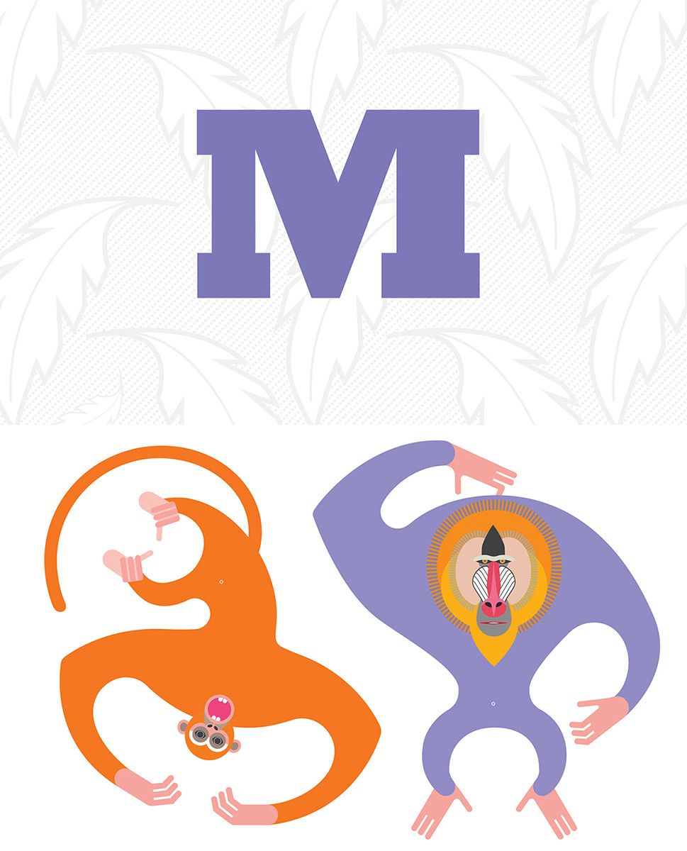 Bardzo proste abecadło - Karty edukacyjne 1+ | Fabryka Wafelków