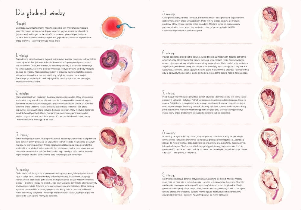 Babaryba Książka 9 miesięcy Rozwój Dziecka 0+ | Fabryka Wafelków