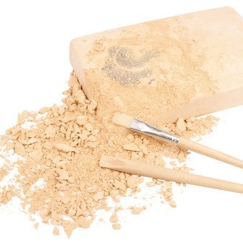 Bones&More, Duży szkielet dinozaura - wykopalisko na kamieniu