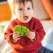 Lanco Gryzak Monstera z Kauczuku Naturalnego 0+