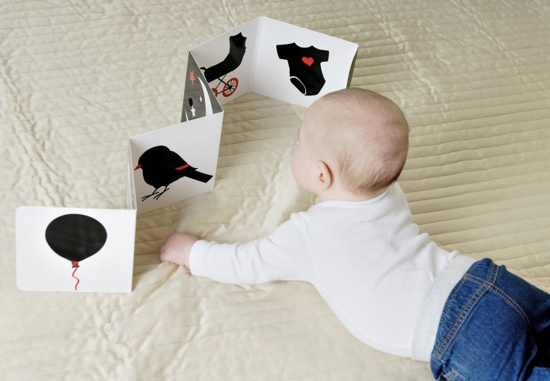 Oczami Maluszka Książeczka Kontrastowa Harmonijka 0+