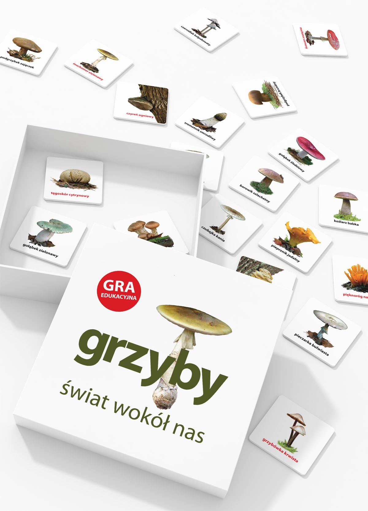 Gra edukacyjna Grzyby - Świat wokół nas 3+