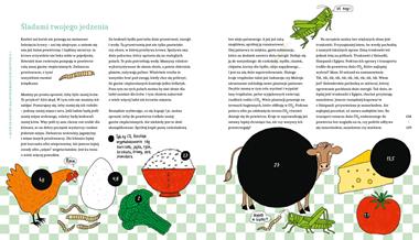 Palmy na biegunie północnym. Wielka opowieść o zmianie klimatu. 6+.