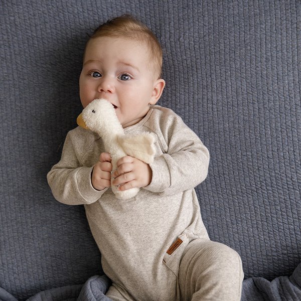 Little Dutch Piszczałka Little Goose 0+