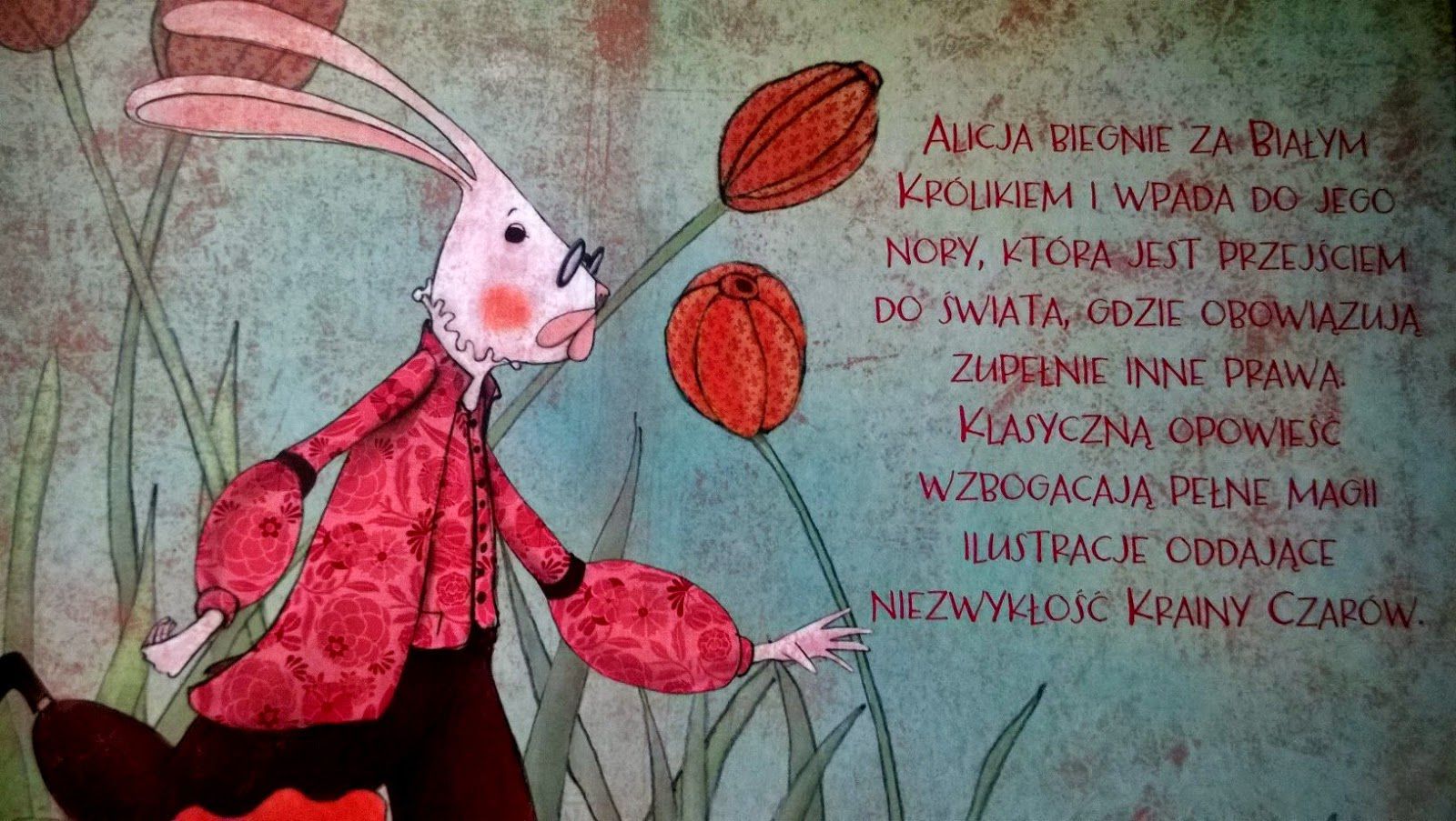 Alicja w Krainie Czarów Książka Ilustrowana 80 stron | Wydawnictwo Olesiejuk